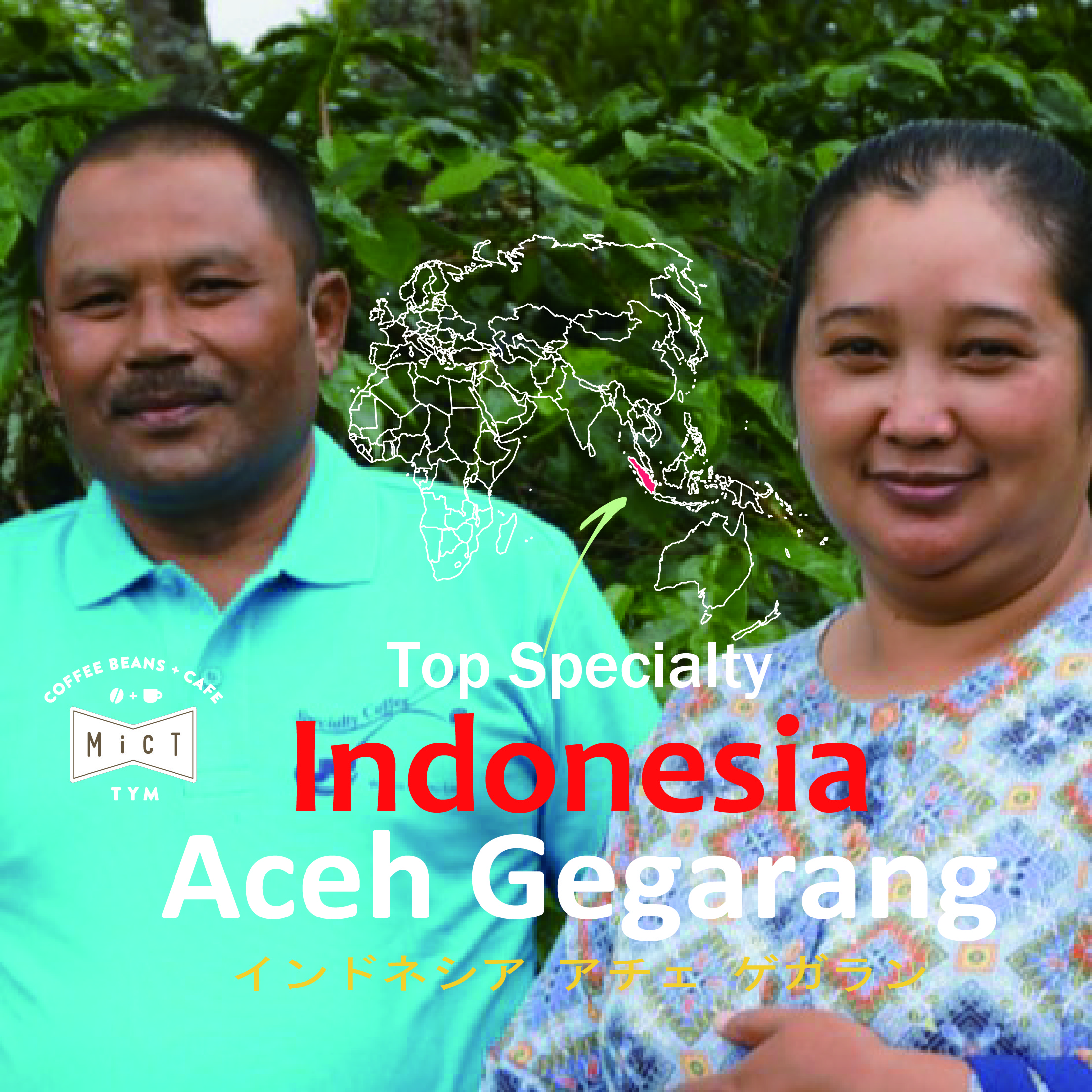 《Top Specialty》インドネシア アチェ ゲガラン