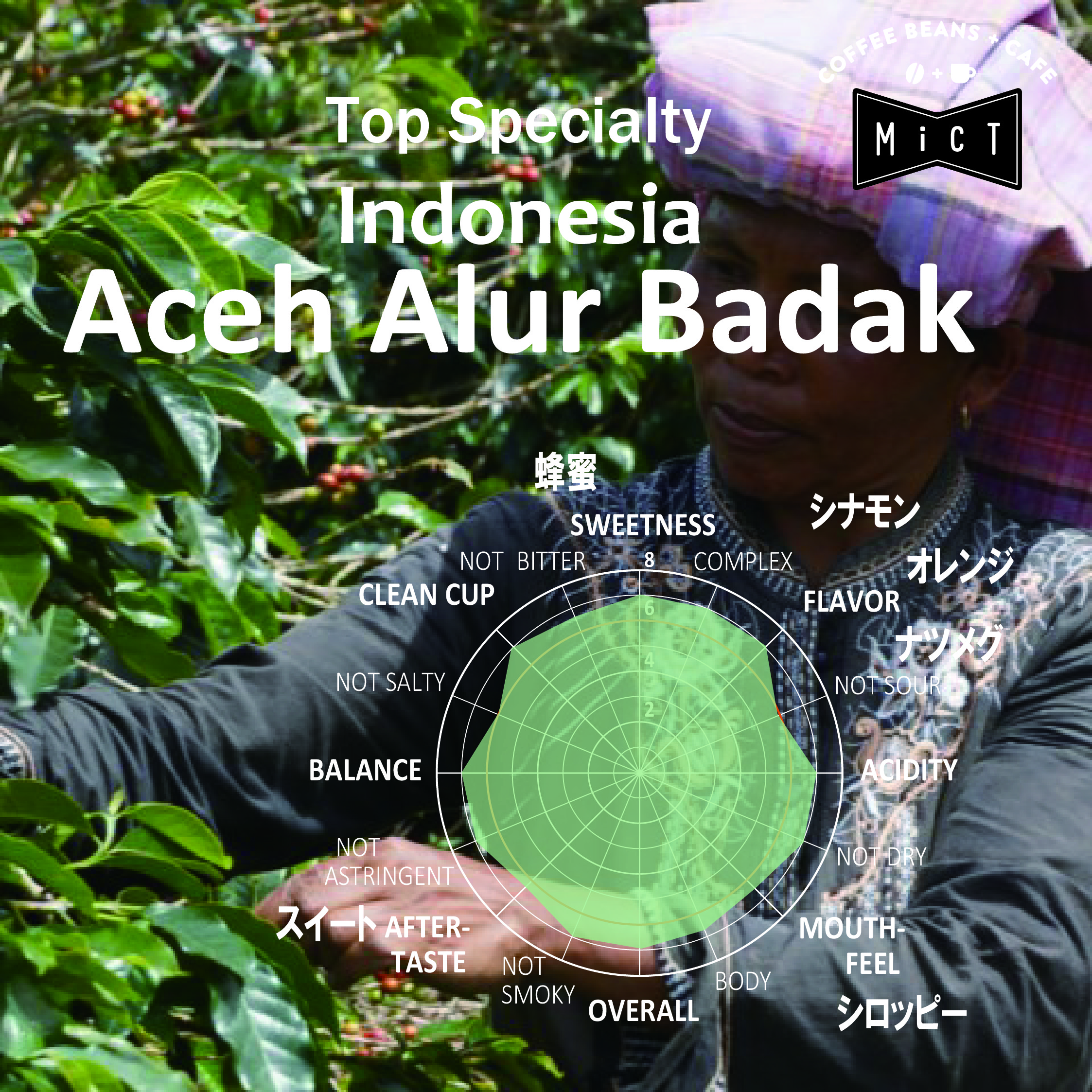 《Top Specialty》インドネシア アチェ アルールバダク